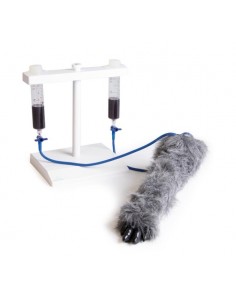 Pata de perro para la... 2