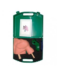 Simulador de artroscopia de...