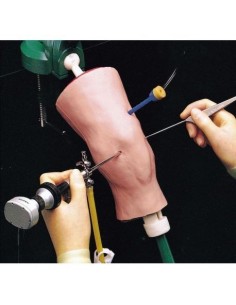 Simulador de artroscopia de...