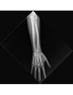Simulador de Radiología -...