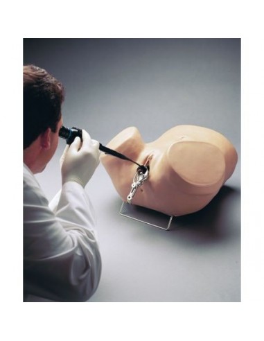 Simulador de ginecología para la... Simulador de ginecología para la...