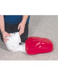 Basic Buddy, simulador...