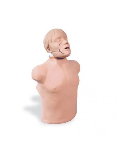 Torso Brad con tracción mandibular... Torso Brad con tracción mandibular...