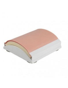 Modelo de entrenamiento...