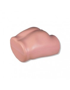 Simulador para inyecciones...