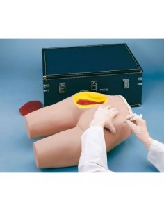 Simulador de entrenamiento...