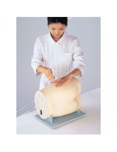 Simulador de entrenamiento...