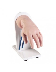 Mano de entrenamiento para...