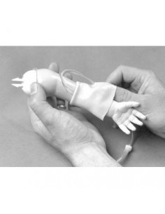 Recambio de Cuero y Vena...