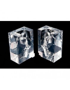 Modelo anatómico...