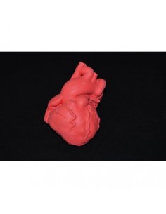 Corazón pediátrico con...