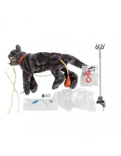 Maniquí de gato para el...