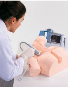 Simulador de entrenamiento... 2