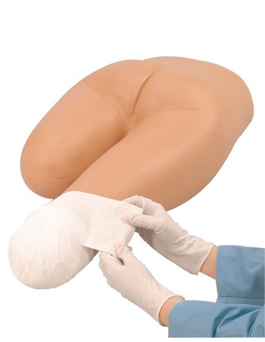 Torso humano inferior para... Torso humano inferior para...