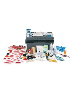 Súper colección de Moulage...