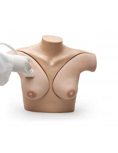 Simulador para ecografía... 2