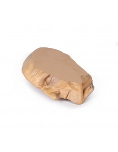 Sección sagital de la... 2