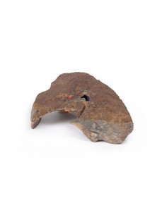 Hilio del pulmón izquierdo... 2