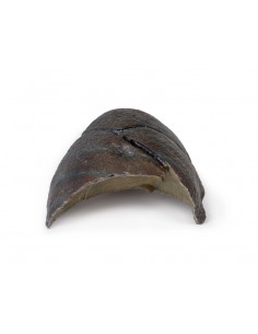 Pulmón derecho, sin hilio -...