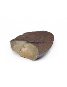 Pulmón derecho, sin hilio -... 2