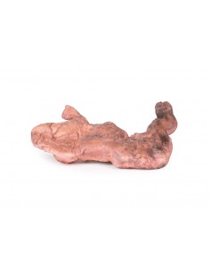 Disección de estómago -... 2