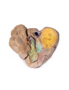 Hígado con vasos y vesícula...