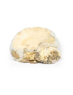 Adenoma pituitario - Erler... 2