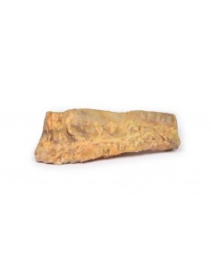 Colitis ulcerosa - Erler... 2