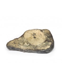 Carcinoma hepatocelular -... 2