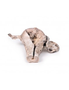 Cáncer endometrial - Erler...