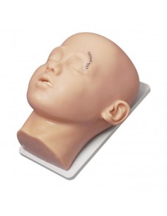 Kit de Cabeza de... 2