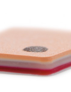 Tejido subcutáneo simulado...