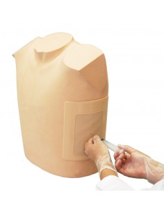 Simulador de toracocentesis... 2
