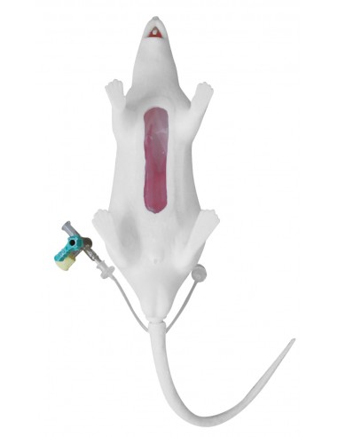 Manichino di topo Squeekums EZ VET4210 Manichino di topo Squeekums EZ VET4210