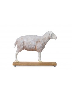 Modelo de oveja, 12 piezas,... 2