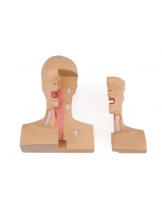 Simulador médico para el... 2