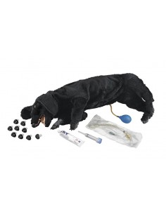 Maniquí de perro para...
