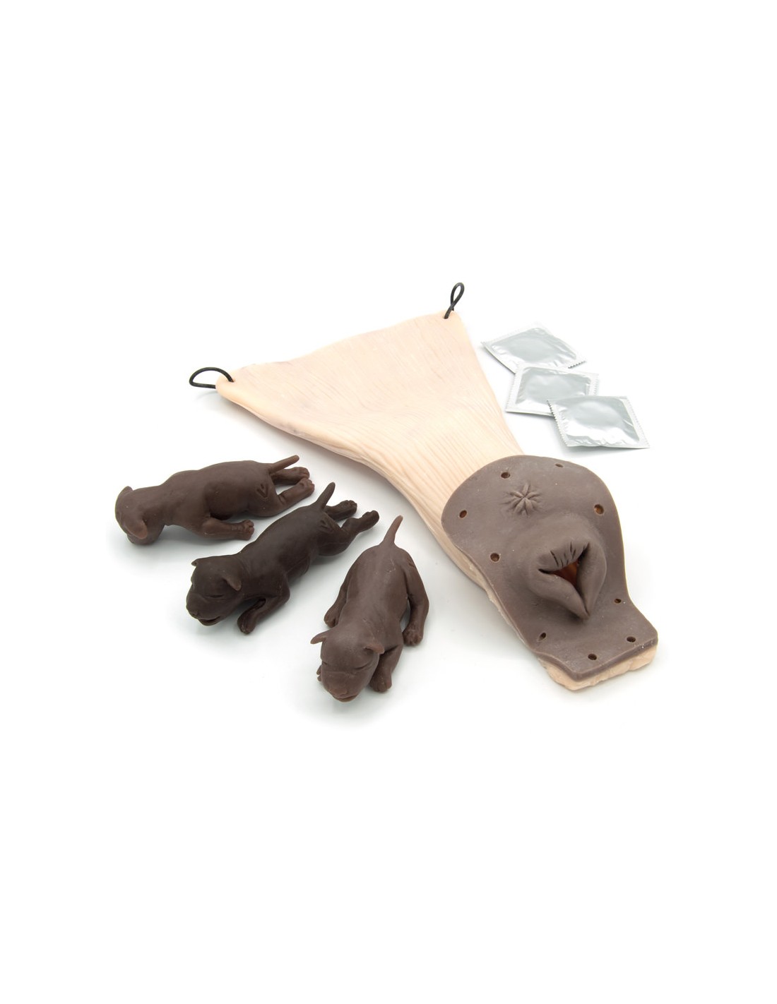 Simulador de perro para formación... Simulador de perro para formación...