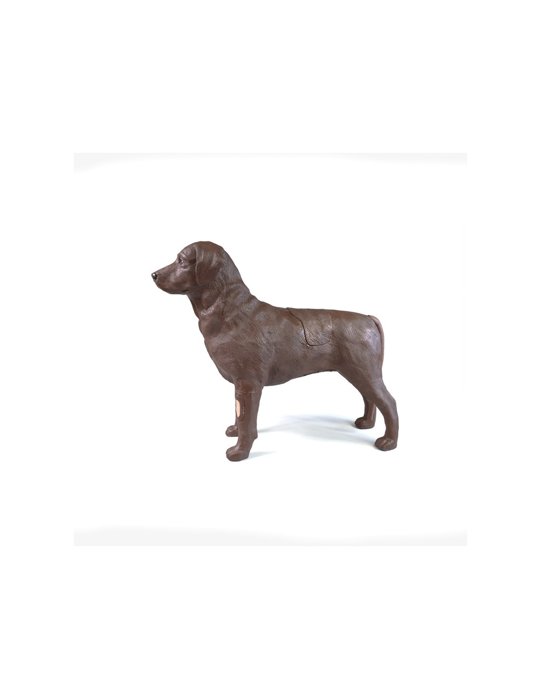 Simulador de perro para formación... Simulador de perro para formación...