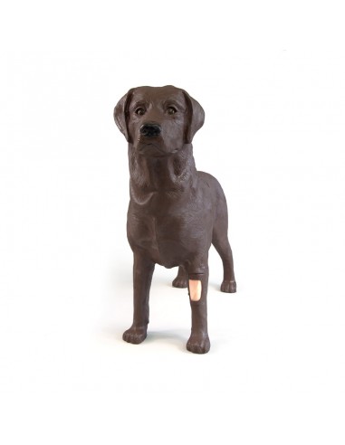 Simulador de perro para formación... Simulador de perro para formación...