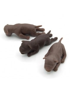 Juego de tres cachorros...