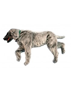 Maniquí de perro para...
