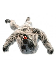 Maniquí de perro para... 2