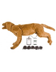Maniquí de perro para...