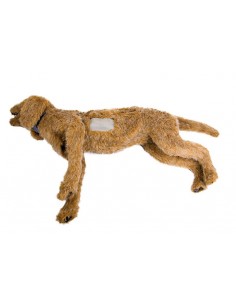 Maniquí de perro para...