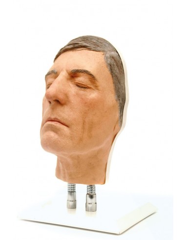 Simulador de inyección facial modelo... Simulador de inyección facial modelo...