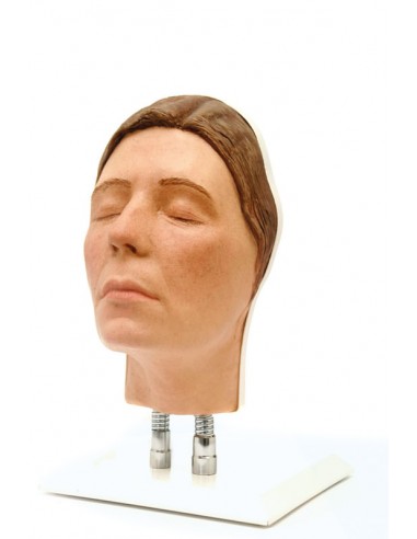 Simulador de inyección facial Modelo... Simulador de inyección facial Modelo...