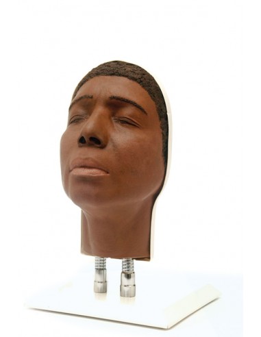 Simulador de inyección facial modelo... Simulador de inyección facial modelo...