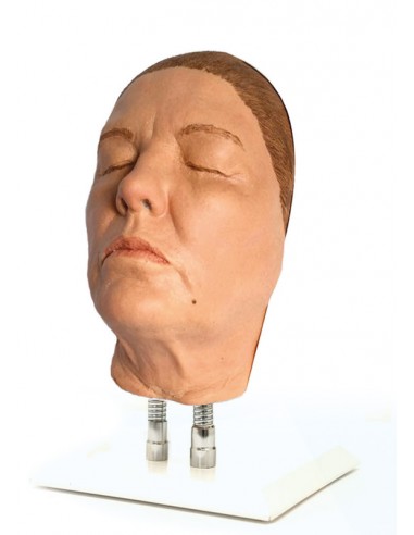 Simulador de inyección facial modelo... Simulador de inyección facial modelo...
