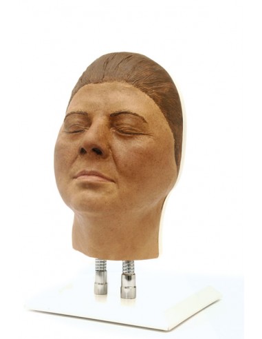 Simulador de inyección facial modelo... Simulador de inyección facial modelo...